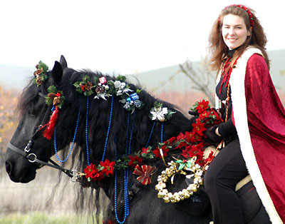 Christmas photo