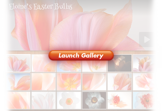 Launch Gallery