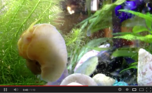 Screen shot 2013-01-14 at 11.47.00 AM