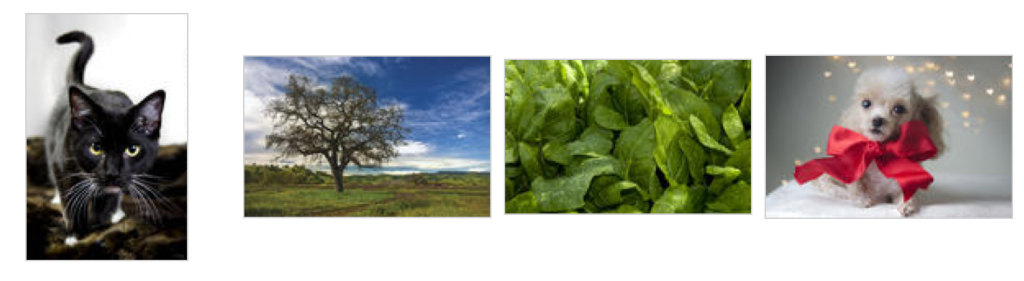 Screen Shot 2015-12-17 at 11.42.48 PM