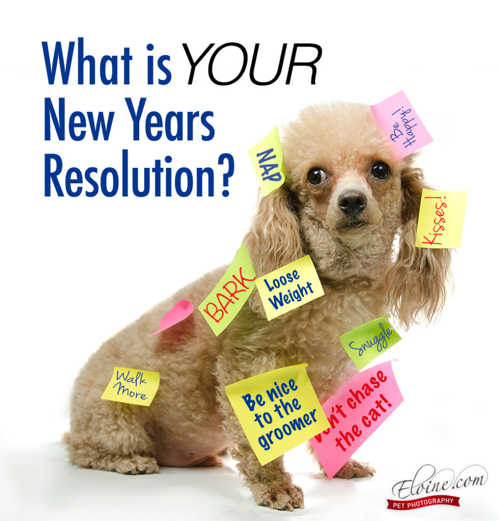 stikie-burt-ELC_9348