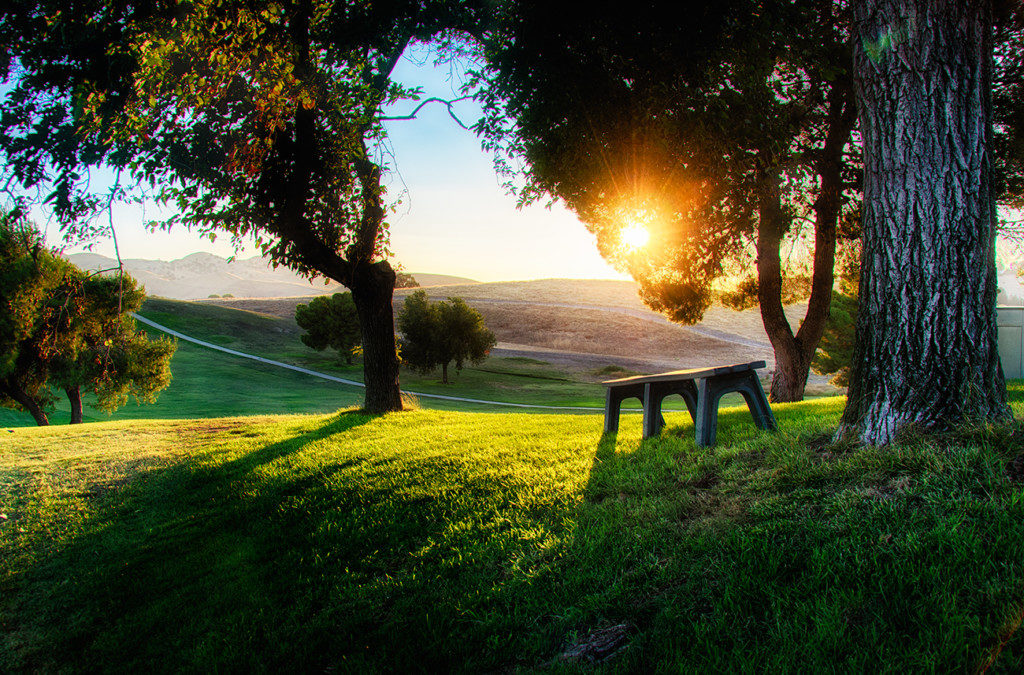 Peaceful bench content winner