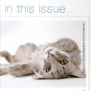 screen-shot-2016-09-19-at-12-17-03-am