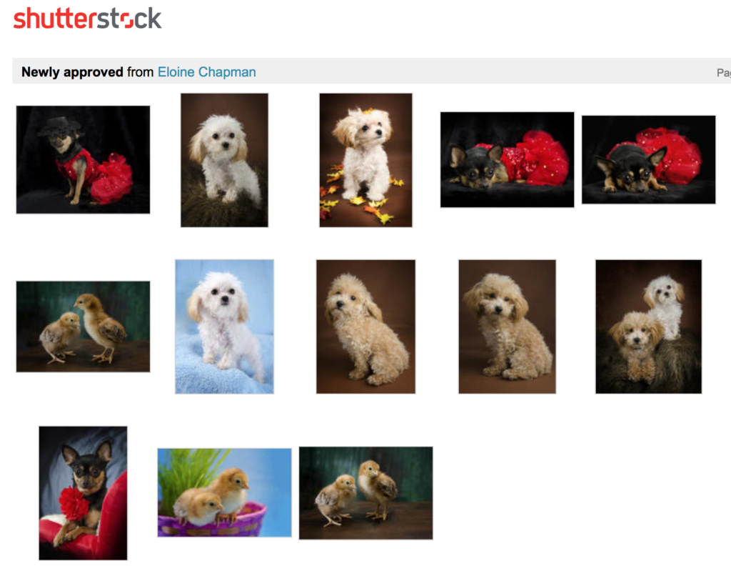 Link to newly submitted stock images