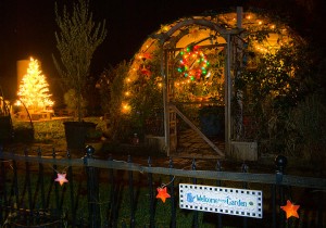 My garden at Christmas