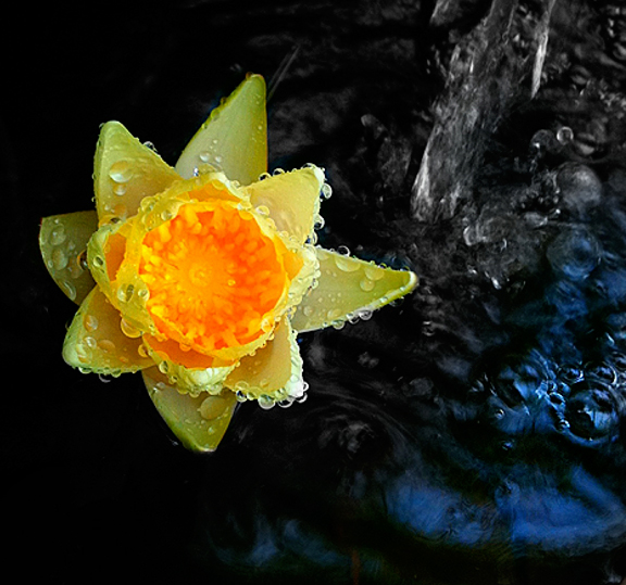 Played around with the apps on the iPhone