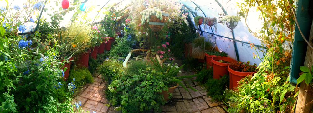 Inside my little escape