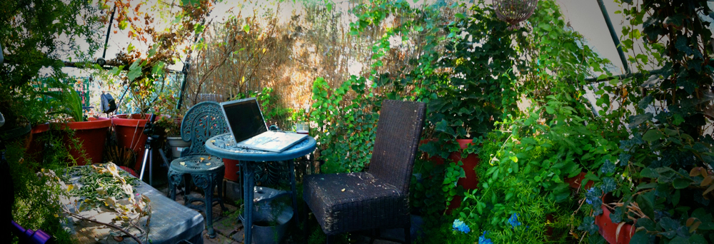 Area in the back I like to do some work