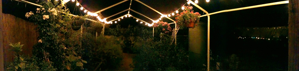 Veggie garden at night
