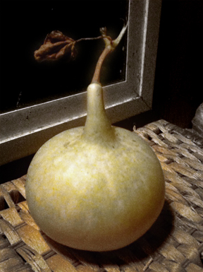 gourd