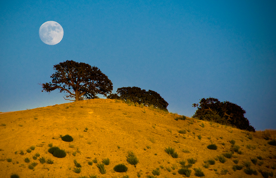 ELC_0030-2-moon