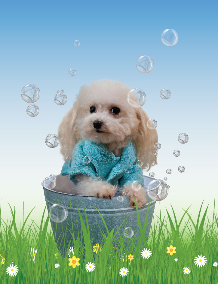 Vehicle graphic detail