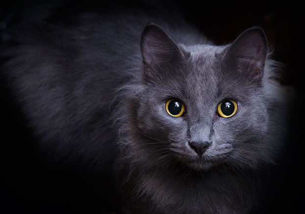 New stock image approved