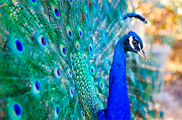 Lynn House Gallery Local Artist Exhibit