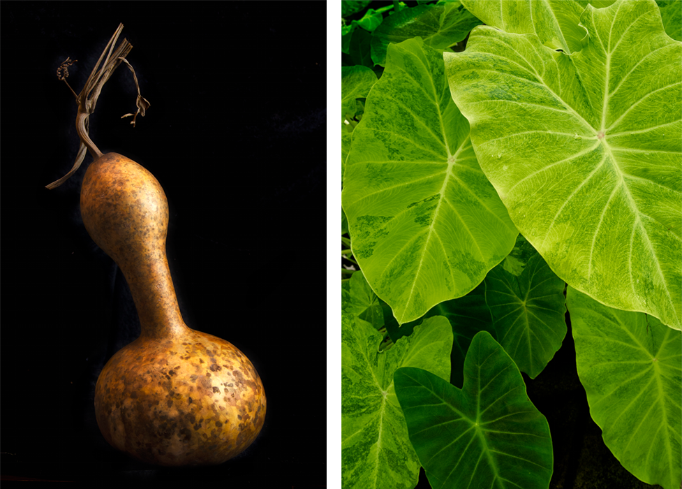 Plant photos added to stock