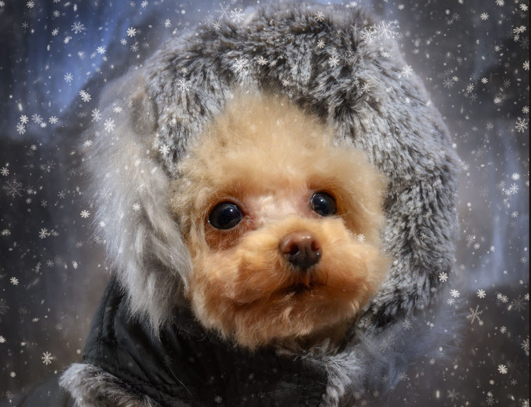 Adding snow in photoshop